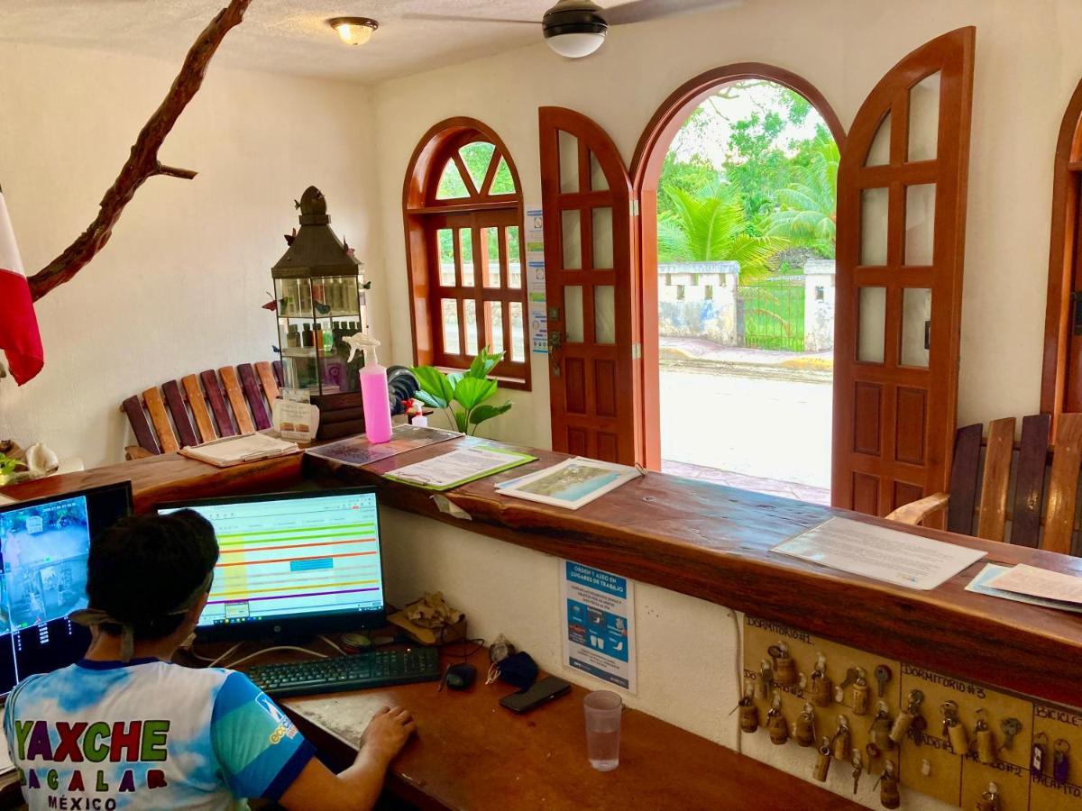 Yaxche Centro Hostal Y Camping Bacalar Extérieur photo