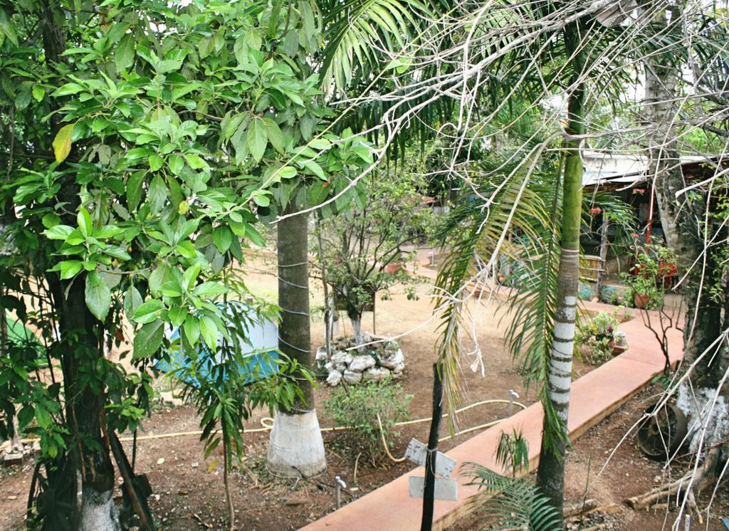 Yaxche Centro Hostal Y Camping Bacalar Extérieur photo