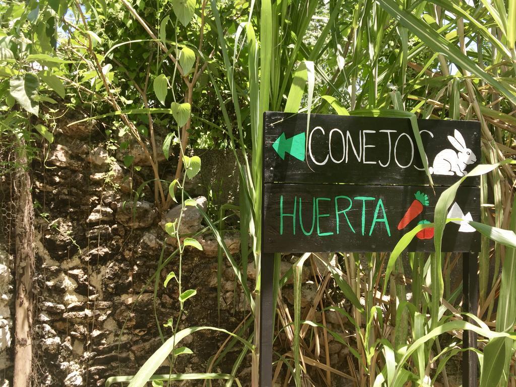 Yaxche Centro Hostal Y Camping Bacalar Extérieur photo
